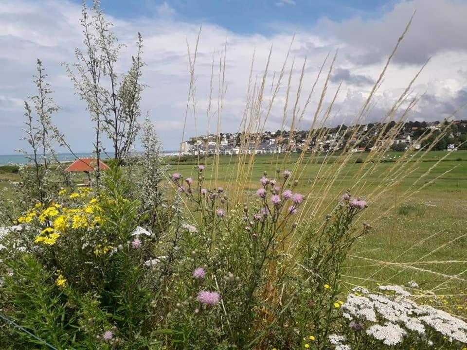 Maison Entiere La Longe'Yeres Saint-Martin-le-Gaillard Exterior foto